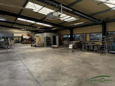 Louer Commerce 1123 m2 Bacqueville-en-caux