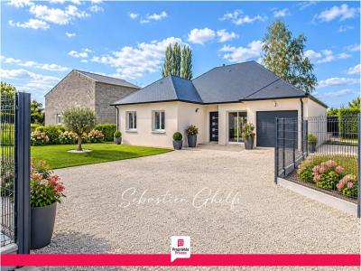 Annonce Vente 5 pi�ces Maison Chemery 41