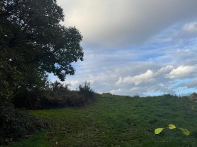 Acheter Terrain Affieux Correze