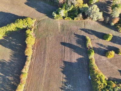 For sale Auch 516 m2 Gers (32000) photo 0