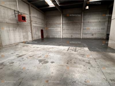 For rent Villeneuve-d'ascq 360 m2 Nord (59491) photo 2