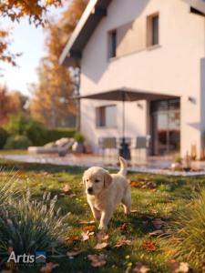 For sale Passy 5 rooms 87 m2 Haute savoie (74190) photo 4