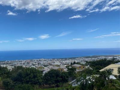 Acheter Maison 164 m2 Saint-denis