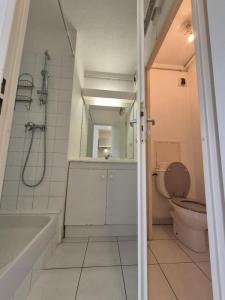 Louer Appartement Blagnac 490 euros