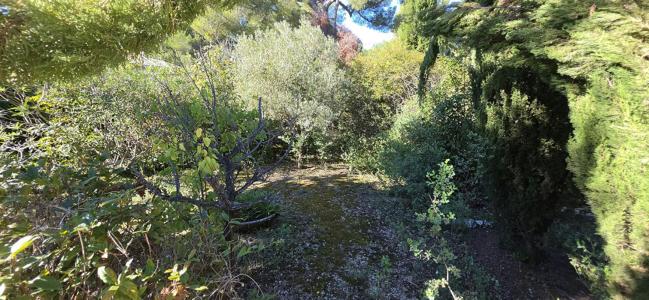Annonce Vente 2 pi�ces Maison Six-fours-les-plages 83