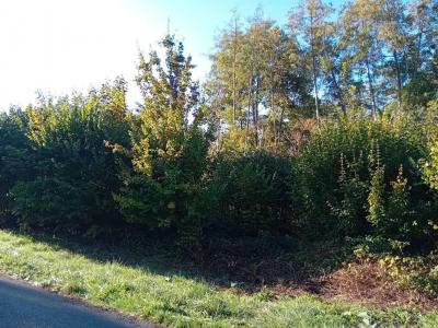 Annonce Vente Terrain Saint-georges-motel 27