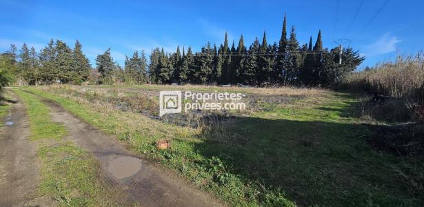 For sale Elne 9555 m2 Pyrenees orientales (66200) photo 3