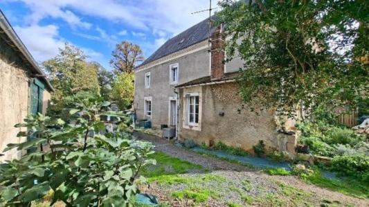 Annonce Vente 9 pi�ces Maison Cluis 36