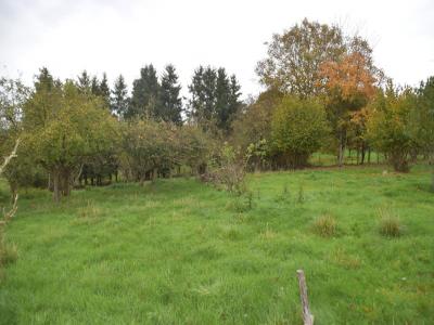 Annonce Vente Terrain Cheppy 55