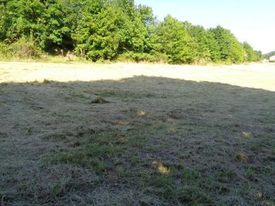 Annonce Vente Terrain Saint-germain-laprade 43