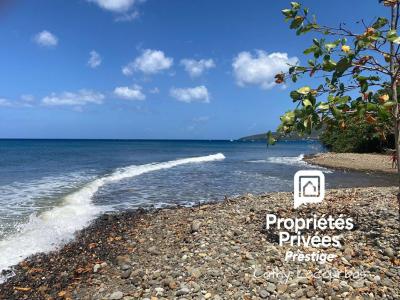 For sale Pointe-noire 4000 m2 Guadeloupe (97116) photo 1