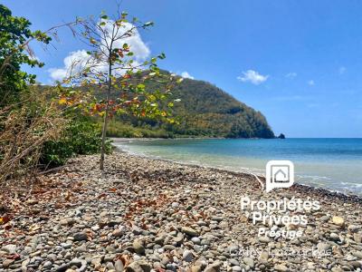 For sale Pointe-noire 4000 m2 Guadeloupe (97116) photo 2