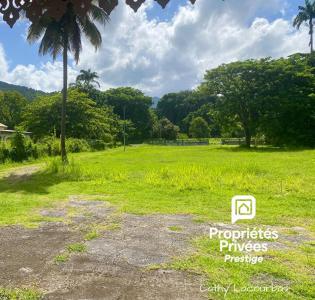 For sale Pointe-noire 10000 m2 Guadeloupe (97116) photo 1