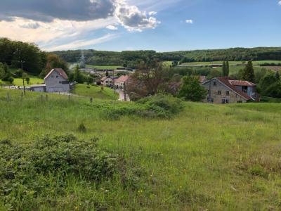 Annonce Vente Terrain Vesoul 70