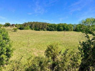 Acheter Maison Loupiac 170000 euros