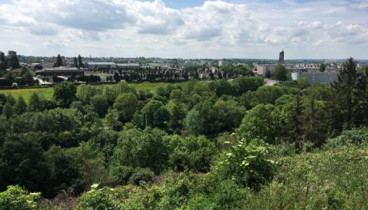 Annonce Vente Terrain Saint-lo 50