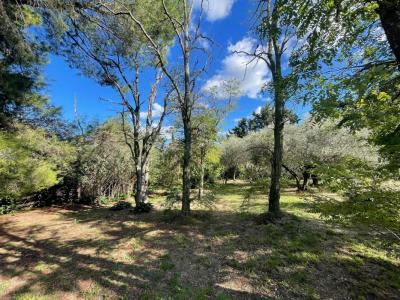 For sale Mollans-sur-ouveze 450 m2 Drome (26170) photo 0