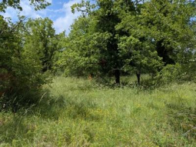 For sale Carpentras 450 m2 Vaucluse (84200) photo 0