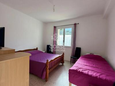 Acheter Local commercial 66 m2 Propriano