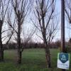 For sale Land Saint-junien  2860 m2