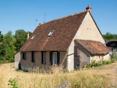 Acheter Maison Chambon-sur-cisse Loir et cher