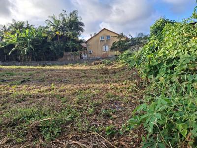 For sale Tampon 800 m2 Reunion (97430) photo 3
