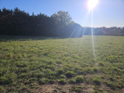Annonce Vente 4 pi�ces Maison Cliousclat 26