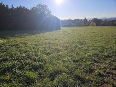 Acheter Maison 92 m2 Cliousclat