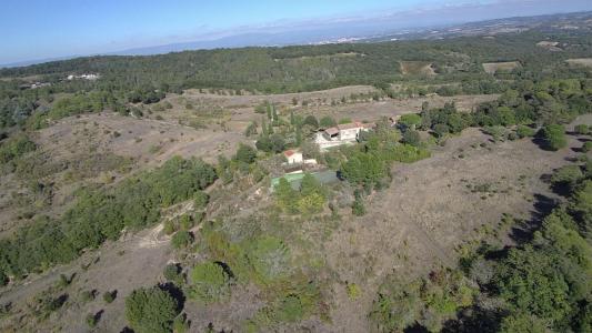 Acheter Prestige Limoux Aude