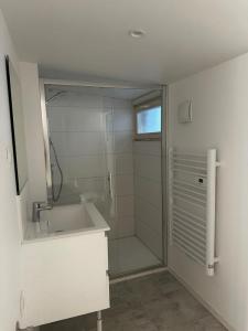 Louer Appartement Nancy 500 euros