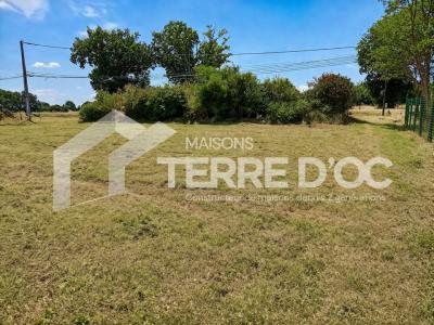 For sale Blan 656 m2 Tarn (81700) photo 0
