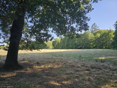 Annonce Vente Terrain Alloue 16