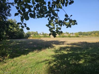Acheter Terrain Alloue Charente