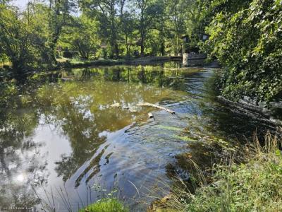 Acheter Terrain Alloue 10000 euros