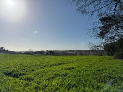 For sale Camors 3 rooms 80 m2 Morbihan (56330) photo 4