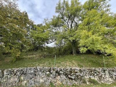 For sale Lovagny 5 rooms 130 m2 Haute savoie (74330) photo 4