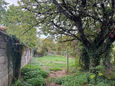 For sale Lonzac 7 rooms 97 m2 Correze (19470) photo 2