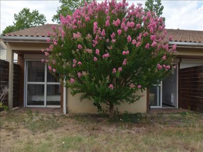 For rent Moulin-neuf 2 rooms 33 m2 Dordogne (24700) photo 4