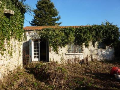For sale Saint-pierre-d'oleron 3 rooms 83 m2 Charente maritime (17310) photo 2