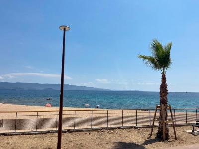 Annonce Location 3 pi�ces Appartement Ajaccio 20