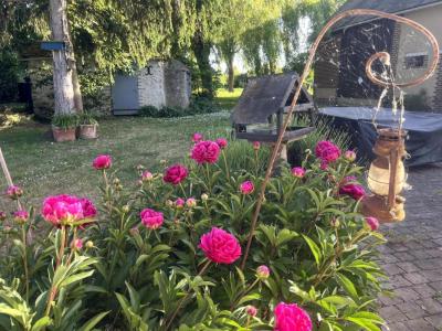 Annonce Vente 5 pi�ces Maison Saint-ouen-en-belin 72