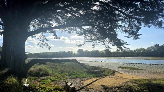 For sale Locoal-mendon 7 rooms 167 m2 Morbihan (56550) photo 4