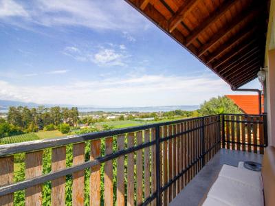 For sale OUI 6 rooms 197 m2 Haute savoie (74200) photo 4