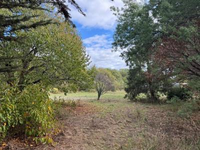 Annonce Vente Terrain Sarzeau 56