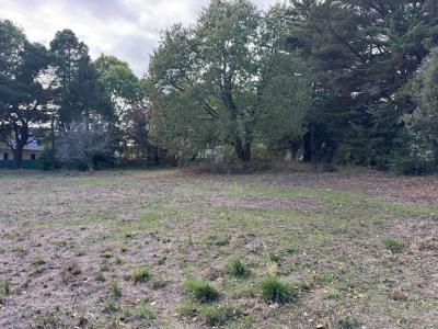 Acheter Terrain Sarzeau 315000 euros