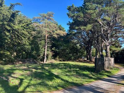 For sale Saint-armel 805 m2 Morbihan (56450) photo 0