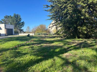 For sale Saint-armel 805 m2 Morbihan (56450) photo 2