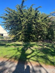 For sale Saint-armel 805 m2 Morbihan (56450) photo 3