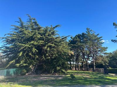 For sale Saint-armel 805 m2 Morbihan (56450) photo 4