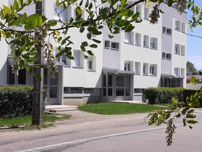 For rent Chatenois 1 room 36 m2 Vosges (88170) photo 0